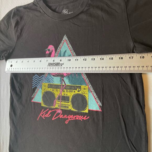 Kid Dangerous Girl’s Short Sleeve T-shirt size L (12-14), Black, Pink Flamingo - Picture 3 of 7